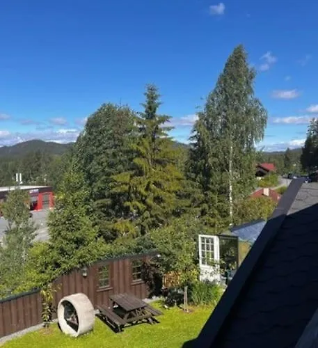 Koia